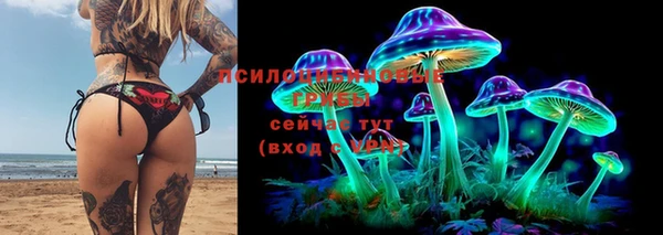 синтетический гашиш Алексин