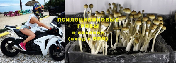 синтетический гашиш Алексин