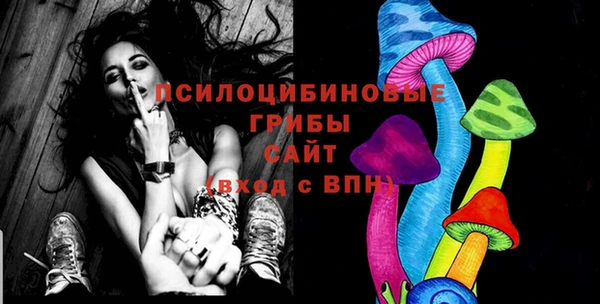 сатива Покачи