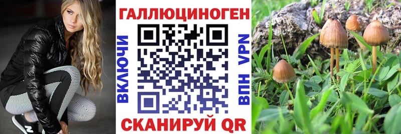 Псилоцибиновые грибы GOLDEN TEACHER  Грязовец 